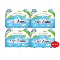 eau-de-source-santanna-4-packs-6-x-50-cl